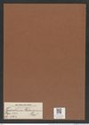 Triceratium stokesianum Grev. (de-Toni-Nr.: Genus 140, Species 3760) Zeichnungen Sammlung Grunow Mappe 03860 (Herbarium_W_Grunow_drawings_Folder_03860)